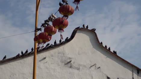 Pigeons-sit-on-the-wire-of-red-lantern-with-background-heritage-house